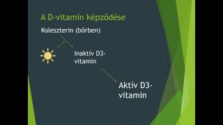 24. rész - A mikrótápanyagok