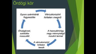 4. rész - Inzulinrezisztencia